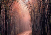 虎扑体育官网：ATP迈阿密大师赛布云朝克特.