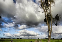 虎扑体育官网：利瓦科维奇：和法国的次回合比赛会很难，我们会尽力争取.