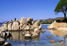 [冰雪]世界单板滑雪锦标赛 大跳台决赛.